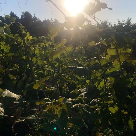 Winzerhaeuschen Kern Apartamento Fehring Exterior foto