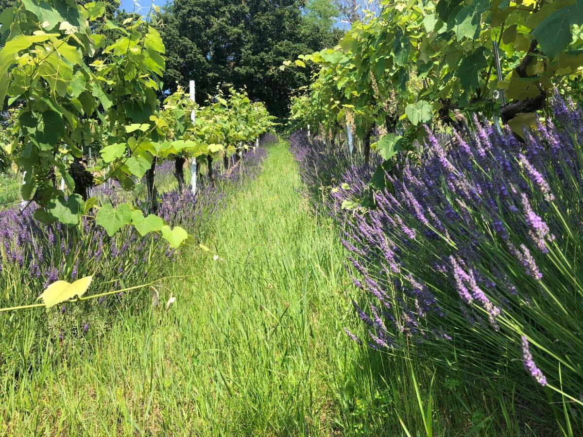 Winzerhaeuschen Kern Apartamento Fehring Exterior foto
